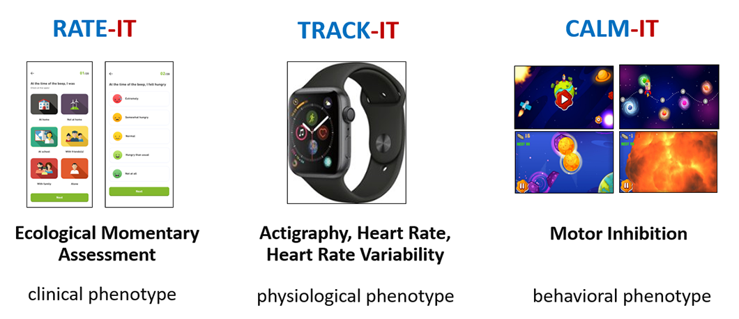 Image of future work displays three mobile applications: “RATE-IT,” “TRACK-IT,” and “CALM-IT.”